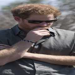 Prince Harry urged to step away from wildlife charity amid horror claims