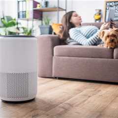 Best Budget Air Purifiers: 3 Affordable Options for Allergies, Pet Hair & More – Starting at $48