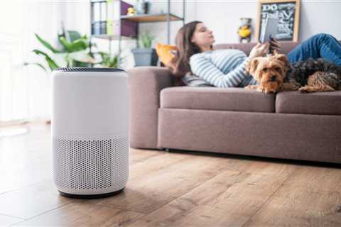 Best Budget Air Purifiers: 3 Affordable Options for Allergies, Pet Hair & More – Starting at $48