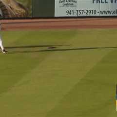 Turtle causes unexpected delay during minor league baseball game