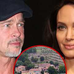 Brad Pitt Countersued in Winery Case, Allegedly Made It a Personal Piggy Bank