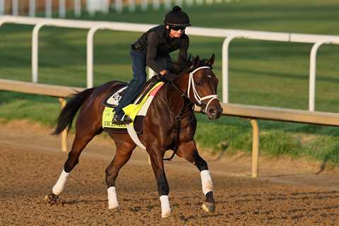 How to bet the 2024 Kentucky Derby online, from sign up to your first wager