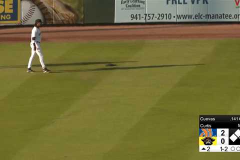 Turtle causes unexpected delay during minor league baseball game