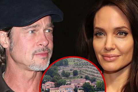 Brad Pitt Countersued in Winery Case, Allegedly Made It a Personal Piggy Bank