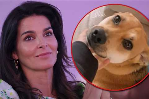 Angie Harmon Sues Deliveryman Who Shot and Killed Her Dog