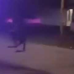 New York Police Fatally Shoot Apparently Armed Teen: Video