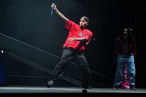 Chris Brown Gets Stuck Suspended in Midair While Performing During New Jersey Concert: Watch