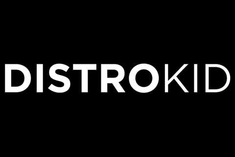 TikTok, DistroKid Expand Partnership With Artist Account Tool