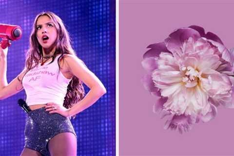 Pick Some Beautiful Flowers And I'll Guess Which Pop Star You Love With 100% Accuracy!