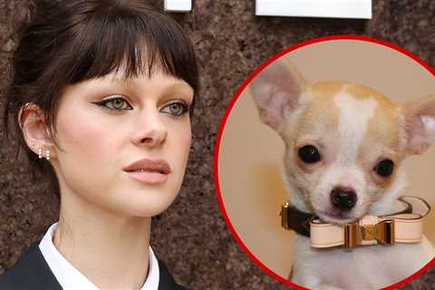 Nicola Peltz Sues Dog Groomer After Death of Chihuahua Nala