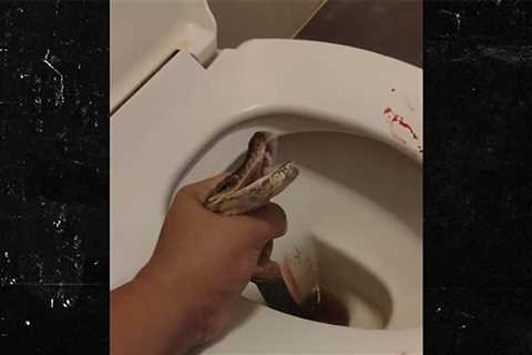 Man Says Python Bit His Balls While He Was Sitting on Toilet, Shares Video