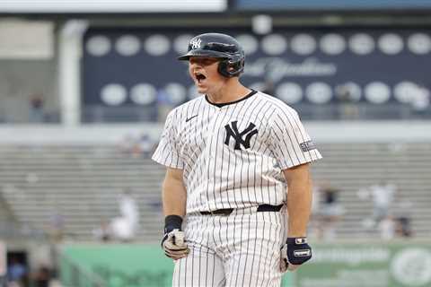 DJ LeMahieu takes ball to the face during Yankees warmups leaving status murky