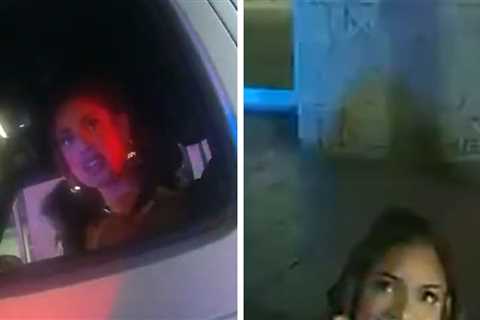 DaniLeigh DUI Arrest Bodycam Footage, 'I'm A Singer, You Can't Arrest Me!'