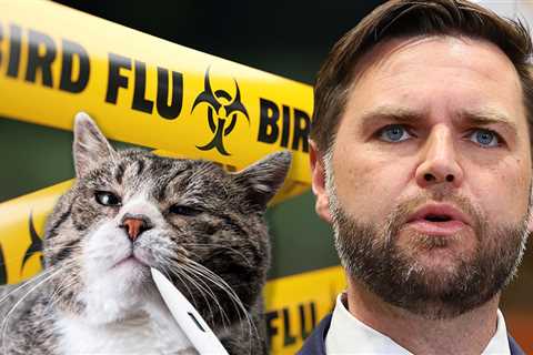 Avian Bird Flu Outbreak Among House Cats