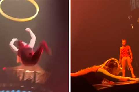 Cirque du Soleil Artist Falls Hard on Video in Aerial Hoop Accident