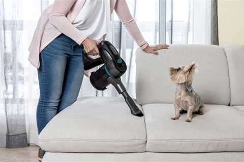 Reviewers Say This TikTok-Viral Portable Pet Vacuum ‘Picks Up So Much Dog Hair & Dirt’: Get Yours..