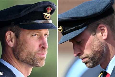 Prince William Grows Beard, Positive Reviews Online