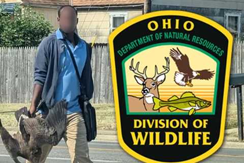 Ohio Wildlife Officials Give Context for Photo of Man Holding 2 Geese