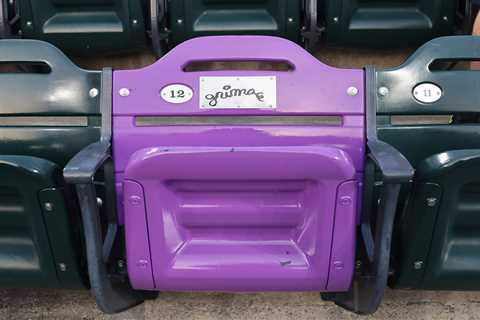 Mets unveil purple Grimace seat at Citi Field to honor season’s ‘phenomenon’