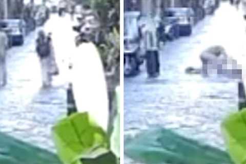 Tourist Killed by Falling Statue in Freak Accident Caught on Video