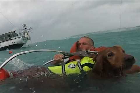 U.S. Coast Guard Saves Man, Dog in Dramatic Video After Hurricane Damages Boat