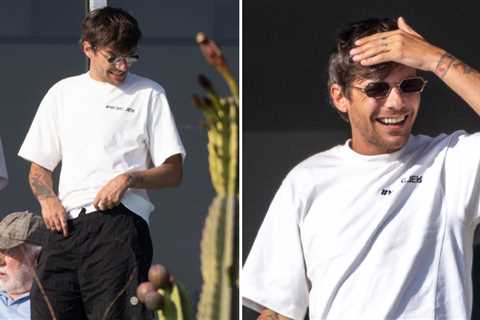 Louis Tomlinson Soaks Up Sun in Malibu Days After Liam Payne's Death