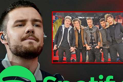 Liam Payne's Solo & One Direction Spotify Streams Skyrocket Since Death