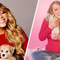 Mariah Carey Kicked Off The Holiday Season With The Puppy Interview And It's The Cutest Thing Ever