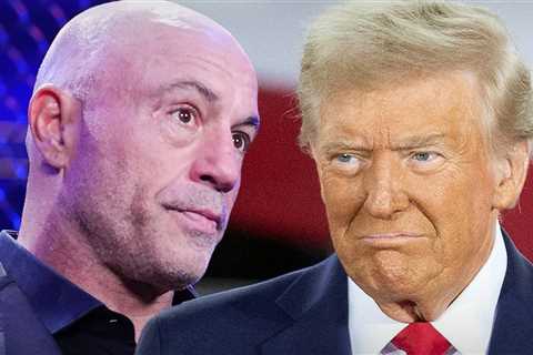 Joe Rogan Gives Advice To President Elect Donald Trump: Don't Attack Democrats