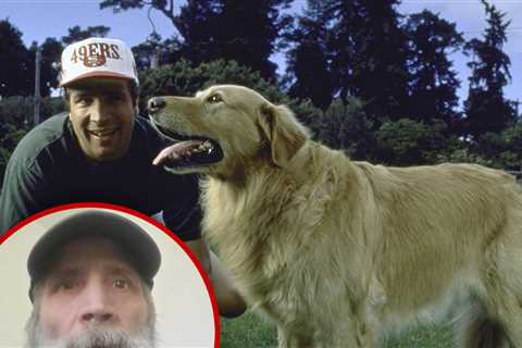 Homeless 'Air Bud' Creator Ready for Comeback After Donations Pour In