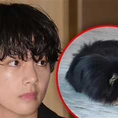 BTS Star V Reveals His Beloved Pet Dog Yeontan Has Died