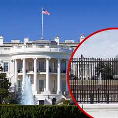 White House Fence Scaled by Intruder, Secret Service Quickly Intervenes