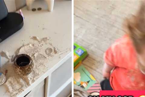 Mortified Mom Discovers Her Toddler Ate His Grandfather's Ashes