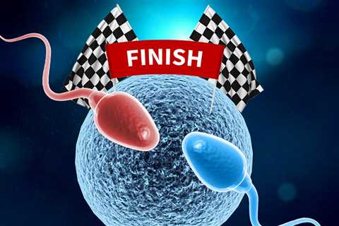 World's First Sperm Race Will Highlight Decline in Male Fertility