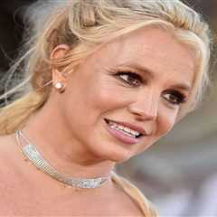 Britney Spears Speak Out After Lighting Cigarette Mid-Flight on Airplane