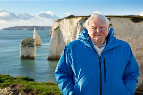 Sir David Attenborough Acknowledges Mortality in Reflection on Ocean Conservation