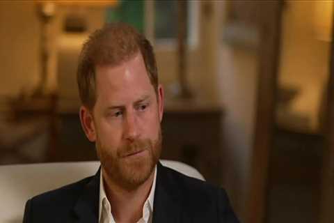 Royal Rift Deepens: Palace Fires Back After Harry's Explosive Claims About Security and Family..