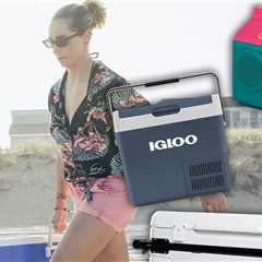 Amazon Deals On Beach Coolers and Backpacks