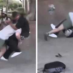 L.A. Protester Body-Slammed by Civilian After Chucking Can at Deputies, on Camera