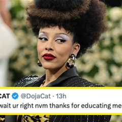 Doja Cat Addressed An Uncomfortable Fan Interaction, And The Internet's Response Is Disturbing
