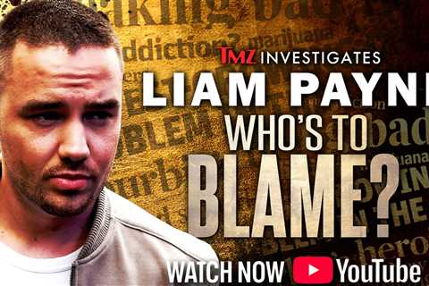 'TMZ Investigates: Liam Payne: Who's to Blame?' Available to Stream on YouTube