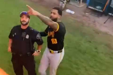 MLB suspends Pirates’ Dennis Santana four games after he went after fan in wild altercation