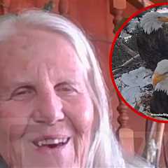 Wildlife Advocate Says Eaglets in Big Bear at Risk Because of 4th of July Fireworks