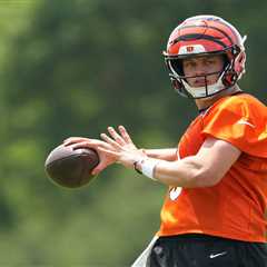 Home burglary prevented Joe Burrow from making this massive $3 million purchase