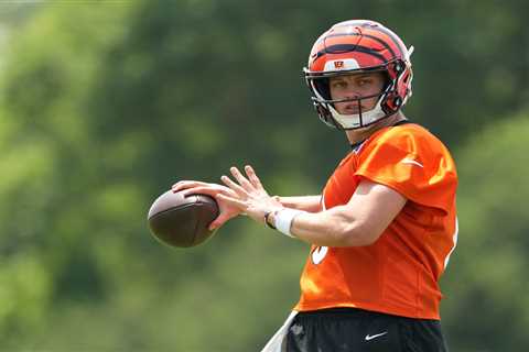 Home burglary prevented Joe Burrow from making this massive $3 million purchase