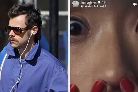 We Didn't Ask For This: It Looks Like Harry Styles Might Be Releasing A Line Of Sex Toys, And His..