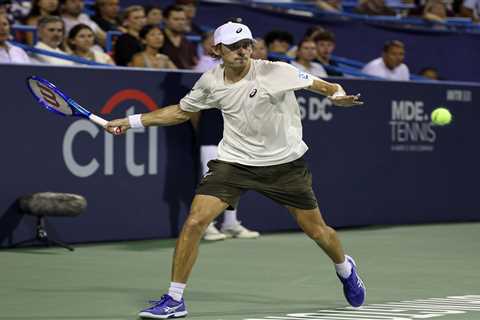 ATP Washington Final: De Minaur vs. Davidovich Fokina odds, picks, and prediction