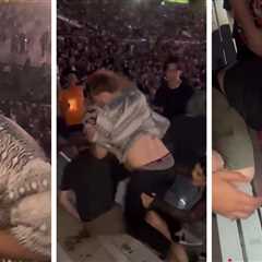 Alleged Rüfüs Du Sol Rose Bowl Brawler Arrested for Assault and Battery