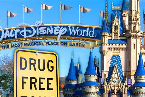 Kentucky Woman Arrested at Disney World for Meth Possession