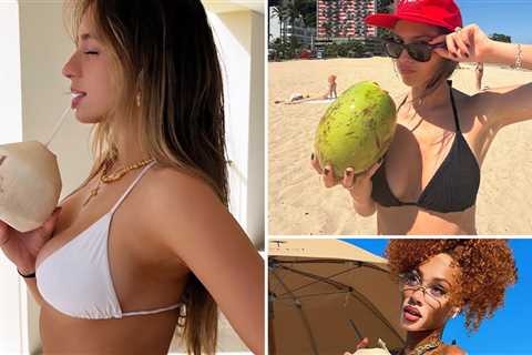Bikini Babes to Drive You Coconuts!